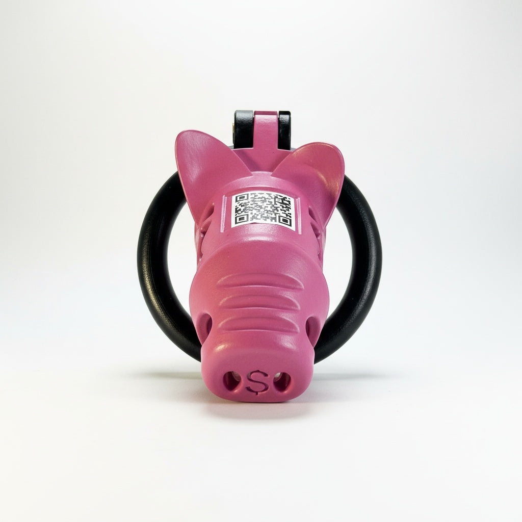 CashPig™ Chastity Cage | Playful Luxury Novelty Restraint | BetaBodega