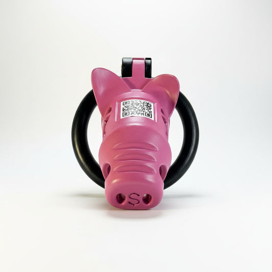 CashPig™ Chastity Cage | Playful Luxury Novelty Restraint | BetaBodega