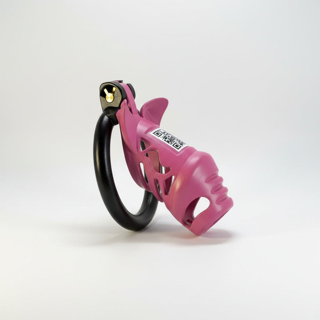 CashPig™ Chastity Cage | Playful Luxury Novelty Restraint | BetaBodega