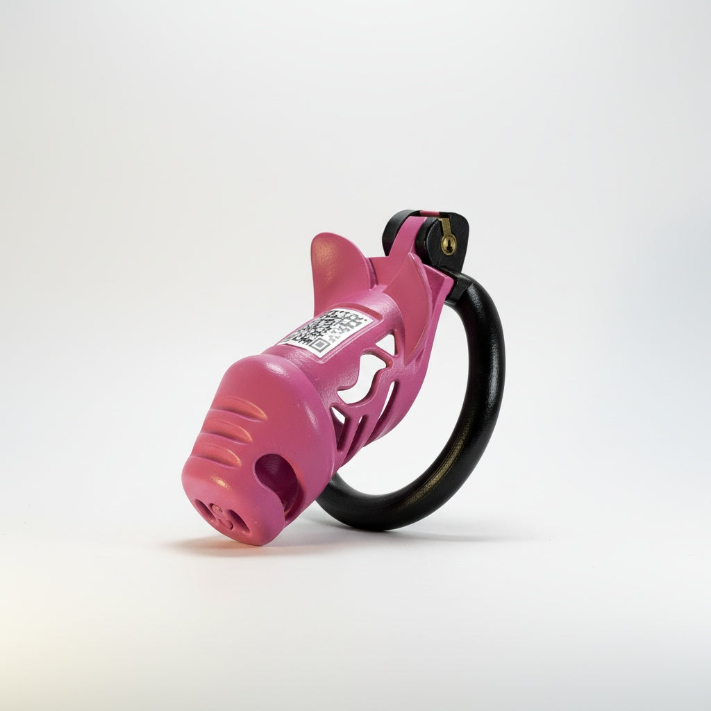 CashPig™ Chastity Cage | Playful Luxury Novelty Restraint | BetaBodega